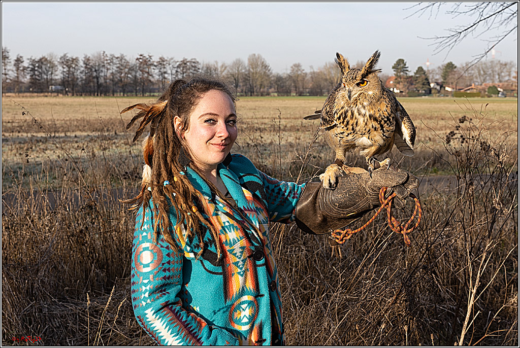 Cheyenne-Halbblut Hunting Wolf in der Falknerei Pierre Schmidt; Gymnich, 09.02.2023